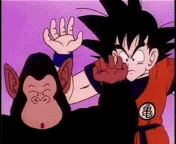 DBZ-012TheEndofSnakeway9.gif